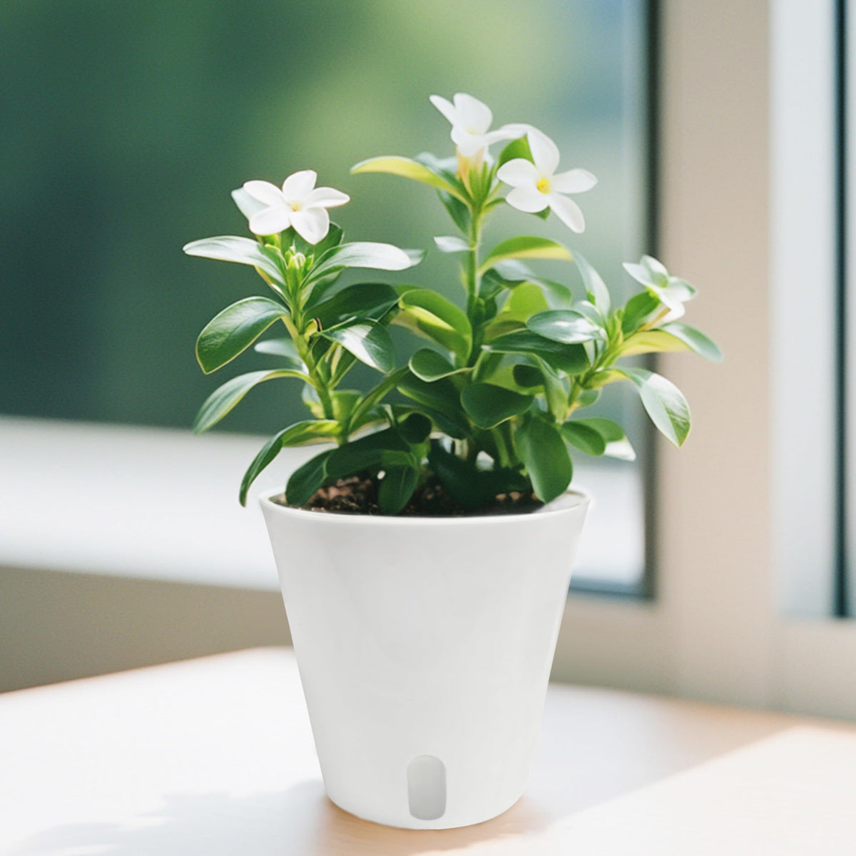 TCBWFY 4 Inch Self Watering Pots for Indoor Plants,8 Sets Self Watering Planter Pots with Visual Water Level Window and Multiple Vents,Self Watering Plant Pot for All House Plants,Flowers,Herbs