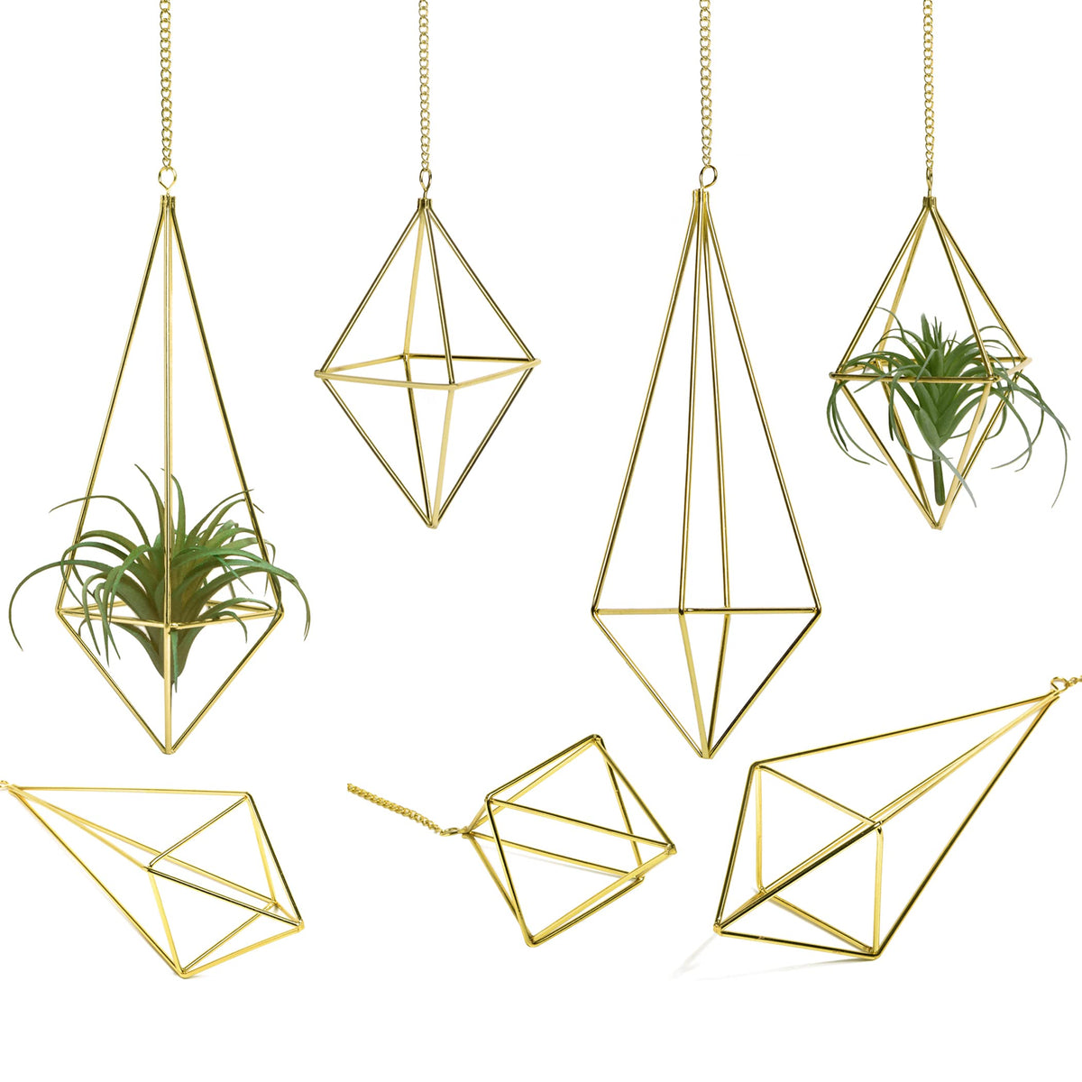 libproqia Air Plants Holders Hanging Airplants Hangers Himmeli Metal Wire 4Pcs Geometric Display Airfens Planter Frame 2 Sizes Tillandsia Holder with Chain and Hooks Decor for Home Office