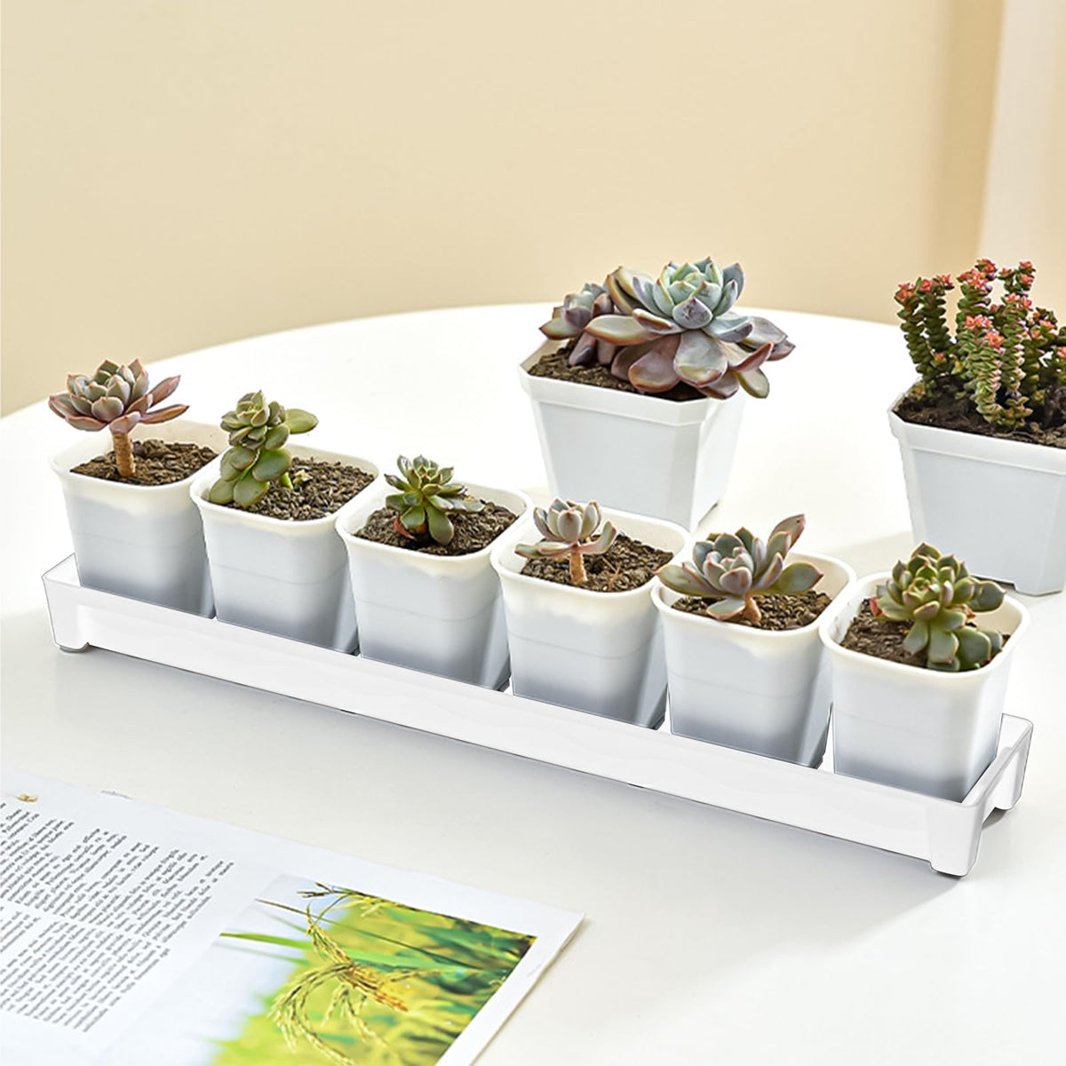 JoyHuaTrade 5 PCS Plastic Plant Tray Saucer, Rectangular Windowsill Plant Drainage Stand for Indoors Outdoor, White Water Drip Tray for Succulent Pot Planter, 16 x 4.5 x 1.6 Inch