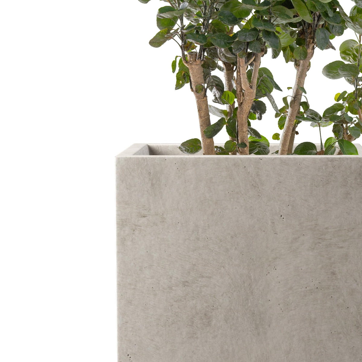 Kante 15.7" H Tall Rectangular Concrete Planters, Outdoor Indoor Lightweight Plant Pots with Drainage Hole and Rubber Plug, Modern Style for Home Garden Patio, Weathered Concrete