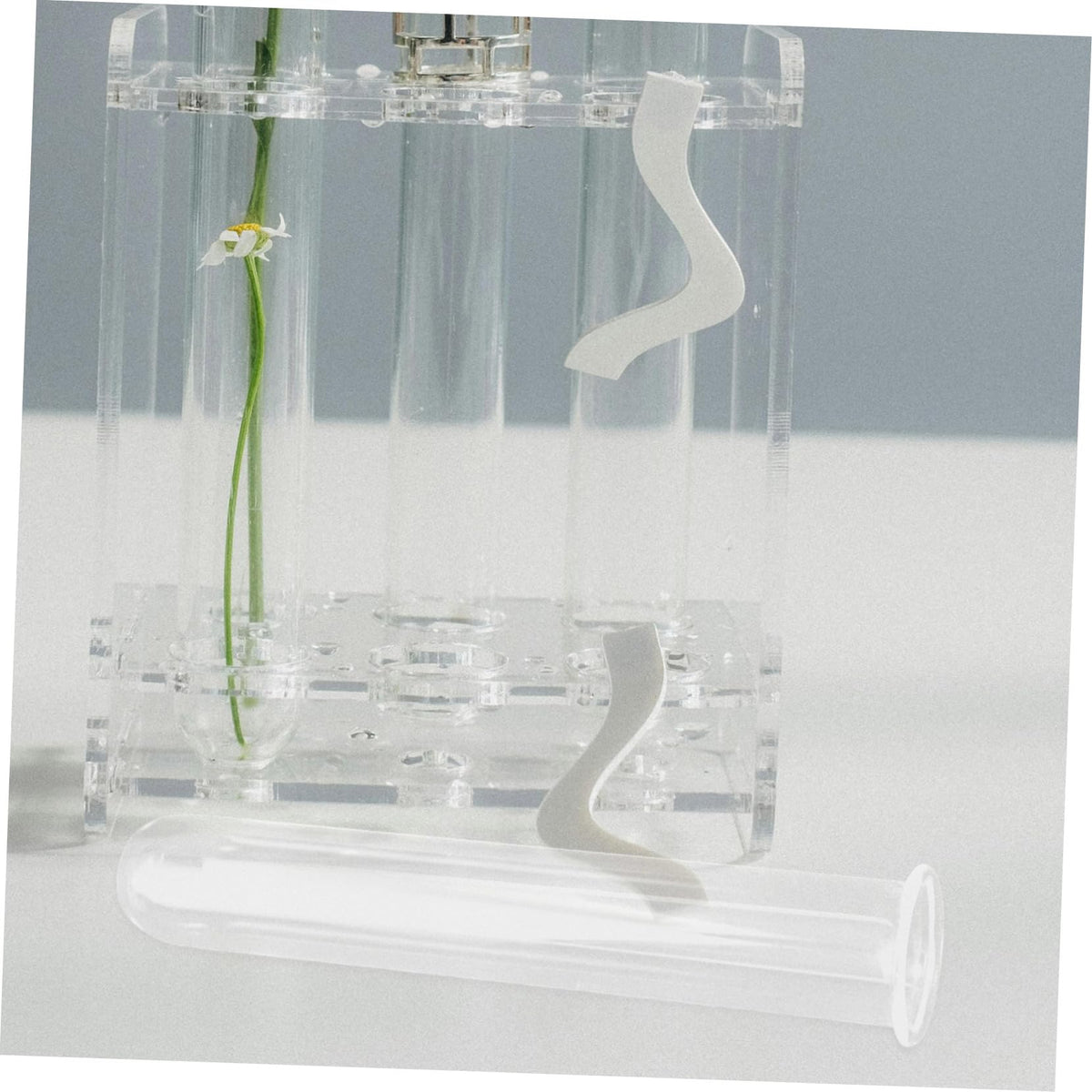 Cabilock 4pcs Glass Hydroponic Propagation Tubes for Plants Small Test Tube Vase Terrarium Container for Desktop Water Plants Floral Decor