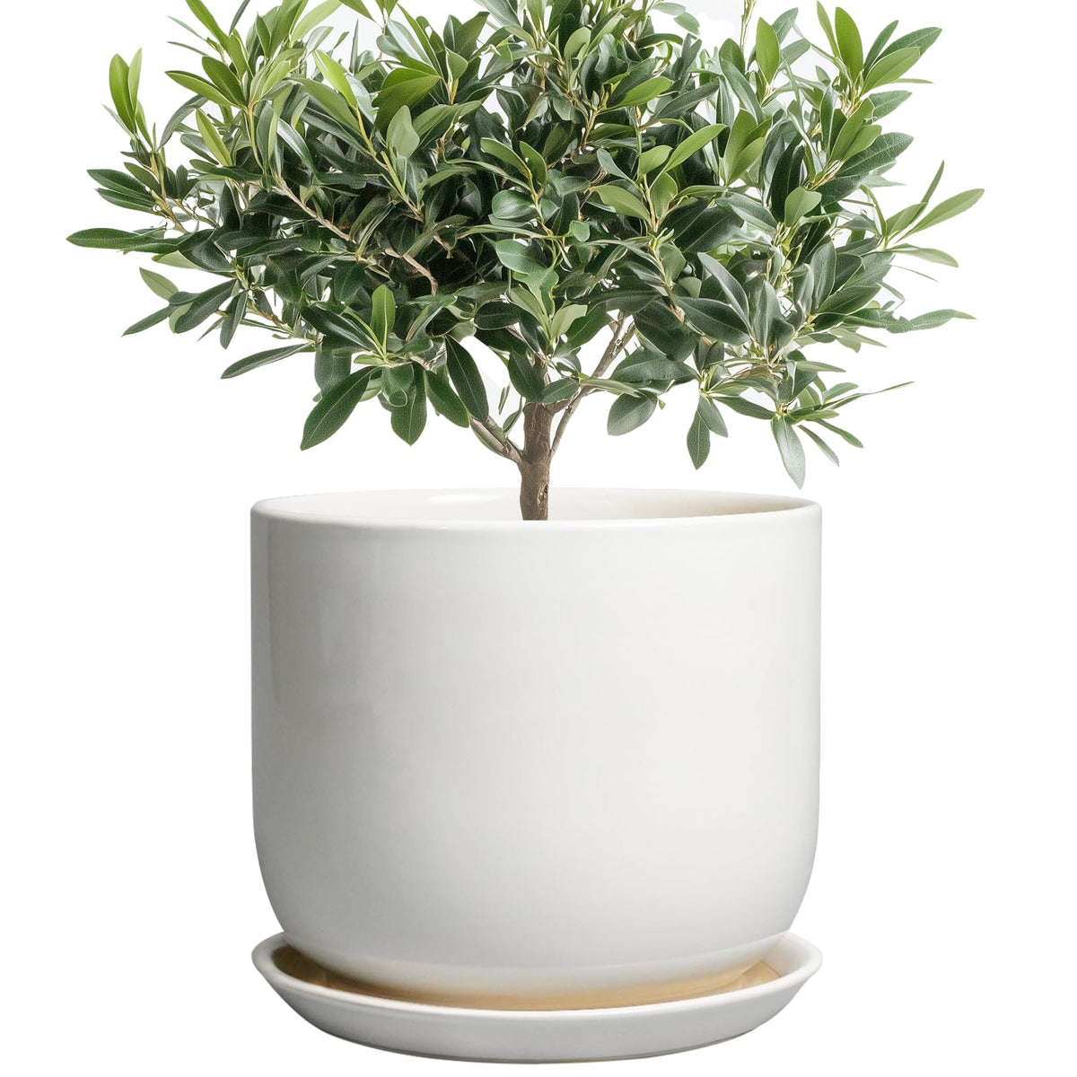 SUNPOTFOR Ceramic Plant Pot - Modern 8 Inch Round Planter for Indoor Outdoor Plants with Drainage Hole and Saucer, Home House Room Office Decor, White