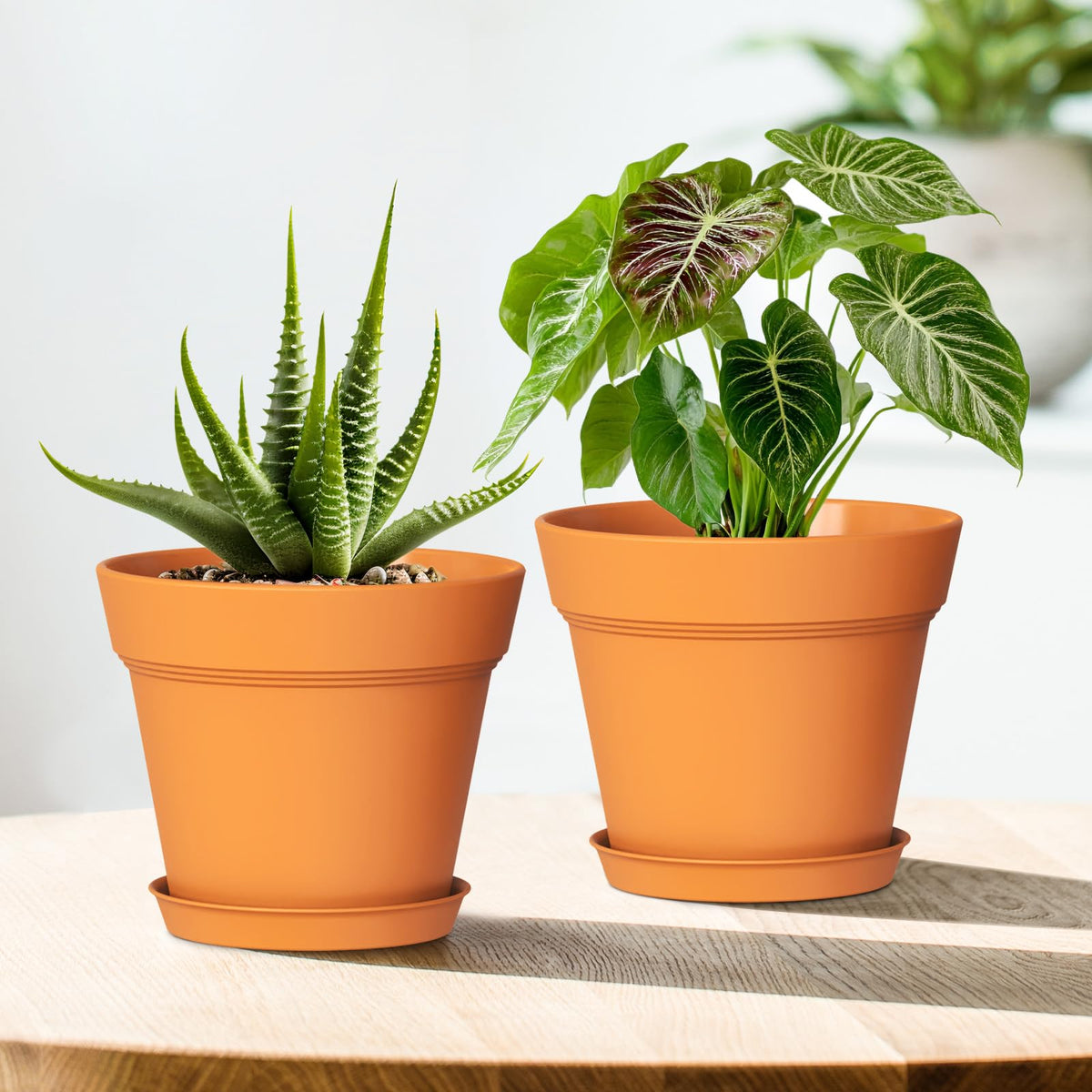 WSMKSZ 5 Inch Plastic Plant Pots with Drainage Holes and Trays – 6 Pack Small Nursery Pots for Indoor & Outdoor House Plants and Flowers, Seedling Starter Planters, Terracotta