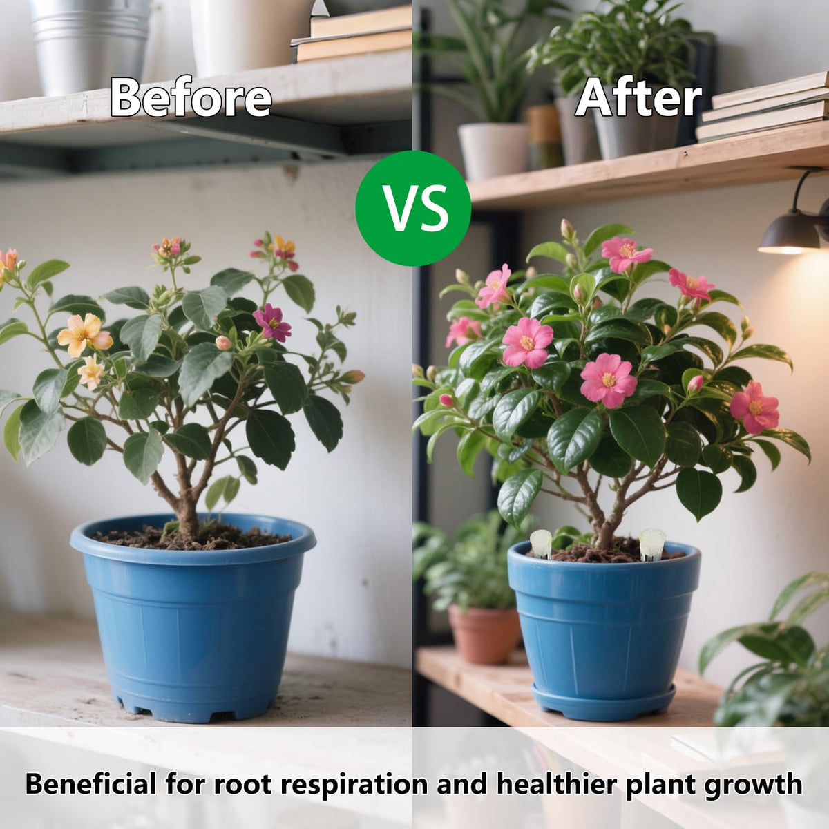 Belit 8 Pcs Plant Root Ventilation Stakes, Breathable Stake Beneficial for Root Respiration, Potted Plants Prevent Root Rot
