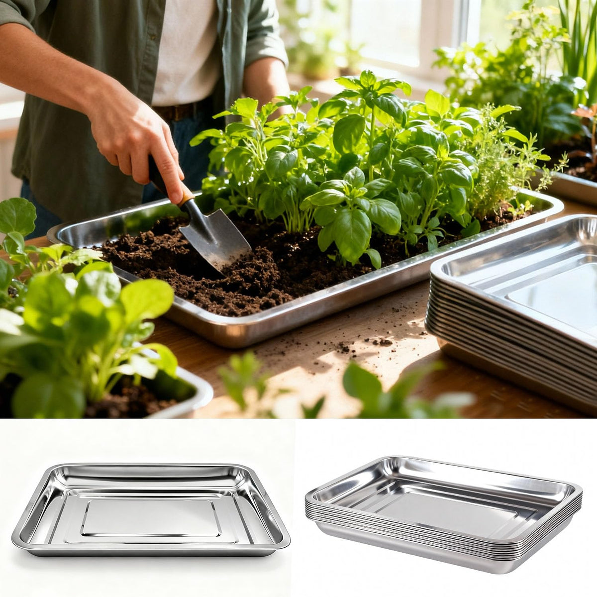 Yiksonyo 10-Pack 16 Inch Stainless Steel Growing Trays, Heavy-Duty Metal Sprouting Tray for Plants, Stainless Steel Plant Germination Trays for Hydroponics, Transplanting (Silver)