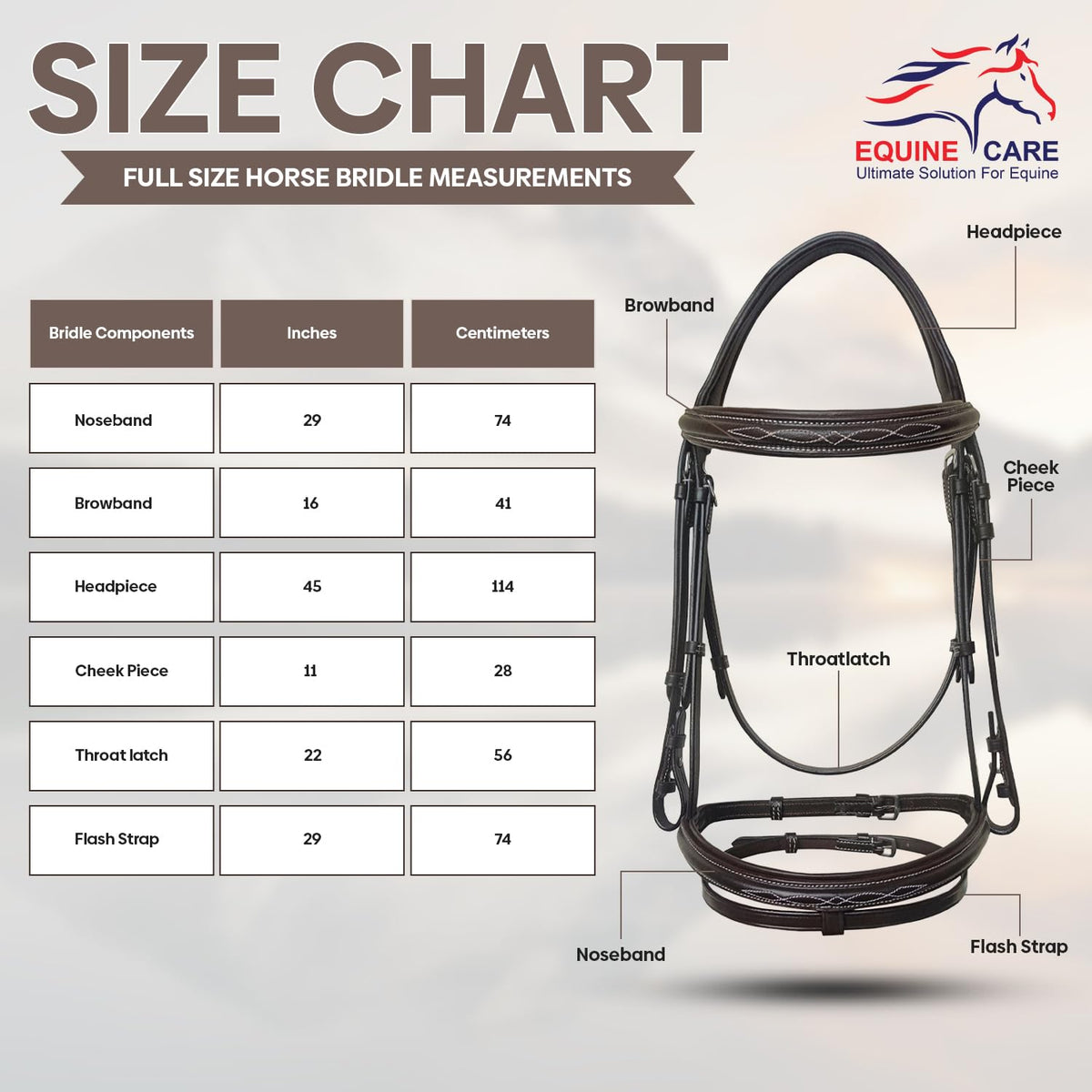 Equine Care English Horse Bridle with Reins – Fancy-Stitched, Padded Comfort Crown & Noseband, Vegetable-Tanned Leather, Stainless Steel Fittings, Full Size Hunter Jumper Tack