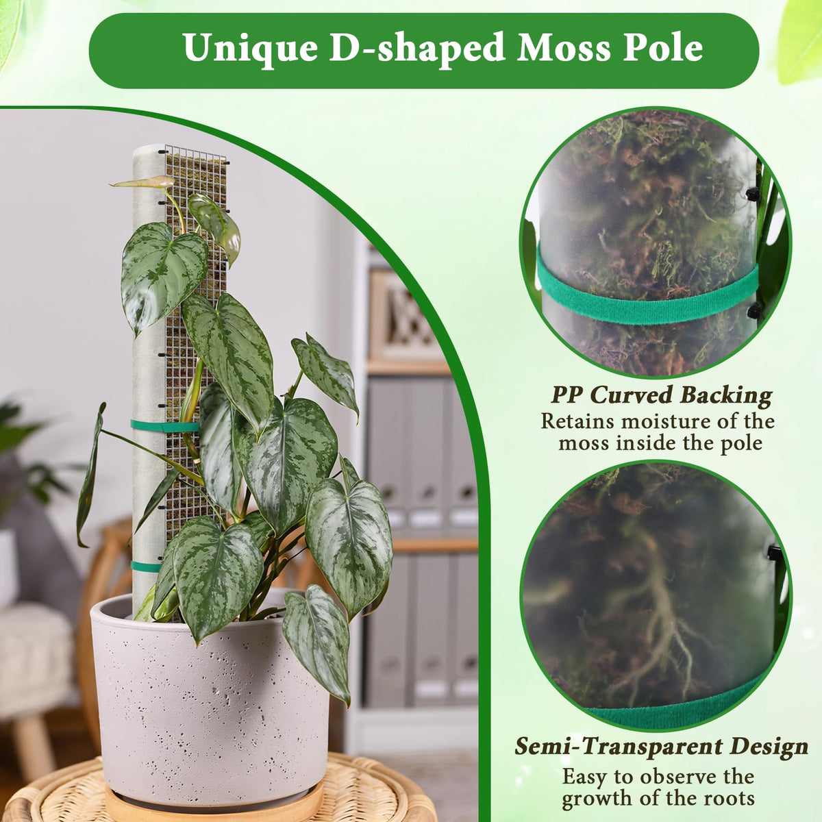 24"+40"+60" Metal Moss Pole - 6 Pack D Shape Sphagnum Moss Pole, Moss Poles for Climbing Plants, Monstera, Climbing Plants Indoor