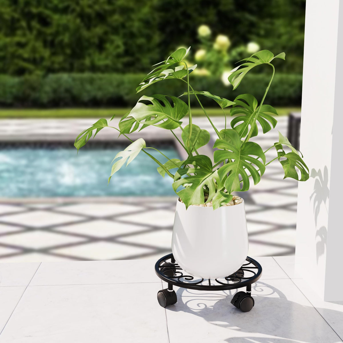 Chinpakden 10.24" Plant Stand with Wheels - 2 Pack Plant Caddy, 360 °Rotatable and Lockable Plant Rollers, Easy to Move, Plant Tray with Casters for Indoor Outdoor Wine Cellar.