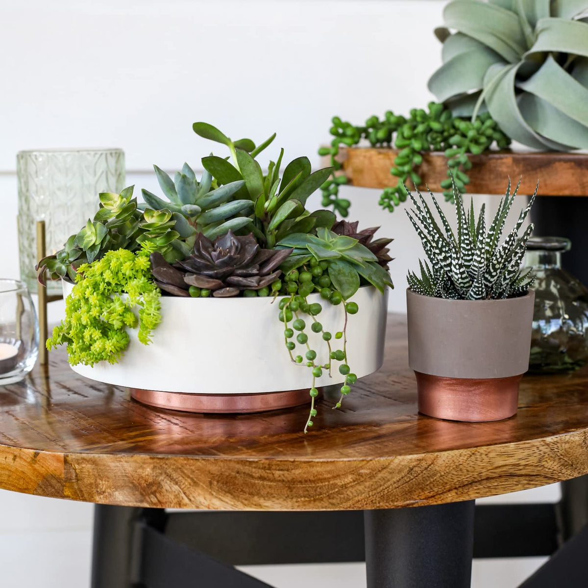 The HC Companies 6 Inch Round Plastic Succulent Capri Bowl 6"x6"x2.25" in Vanilla Bisque with Copper Bottom Color