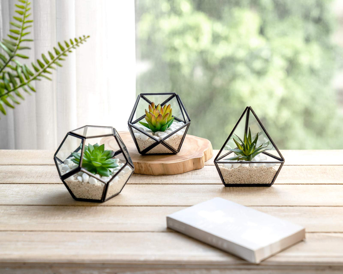 Mkono Artificial Succulent in 3 Pack Mini Glass Geometric Terrarium, Miniature Potted Faux Plant Bookshelf Desk Boho Office Room Decor for Women Girls Dorm Gift Idea, Black