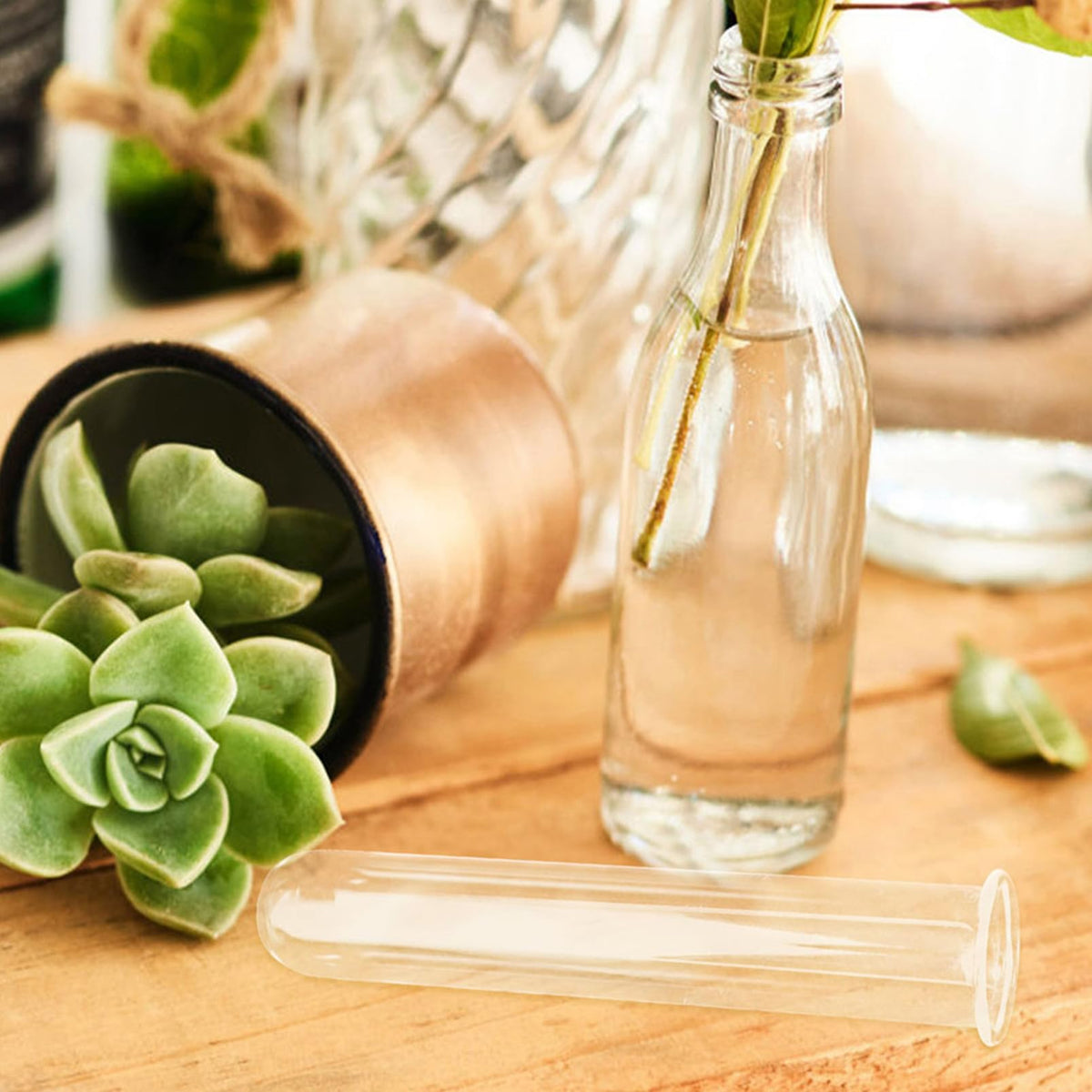 Beaupretty 5pcs Glass Hydroponic Test Tube Plant Vases for Small Terrarium Plants Floral Propagation Tubes 2.5x3x15cm Glass Containers for Indoor Garden Décor