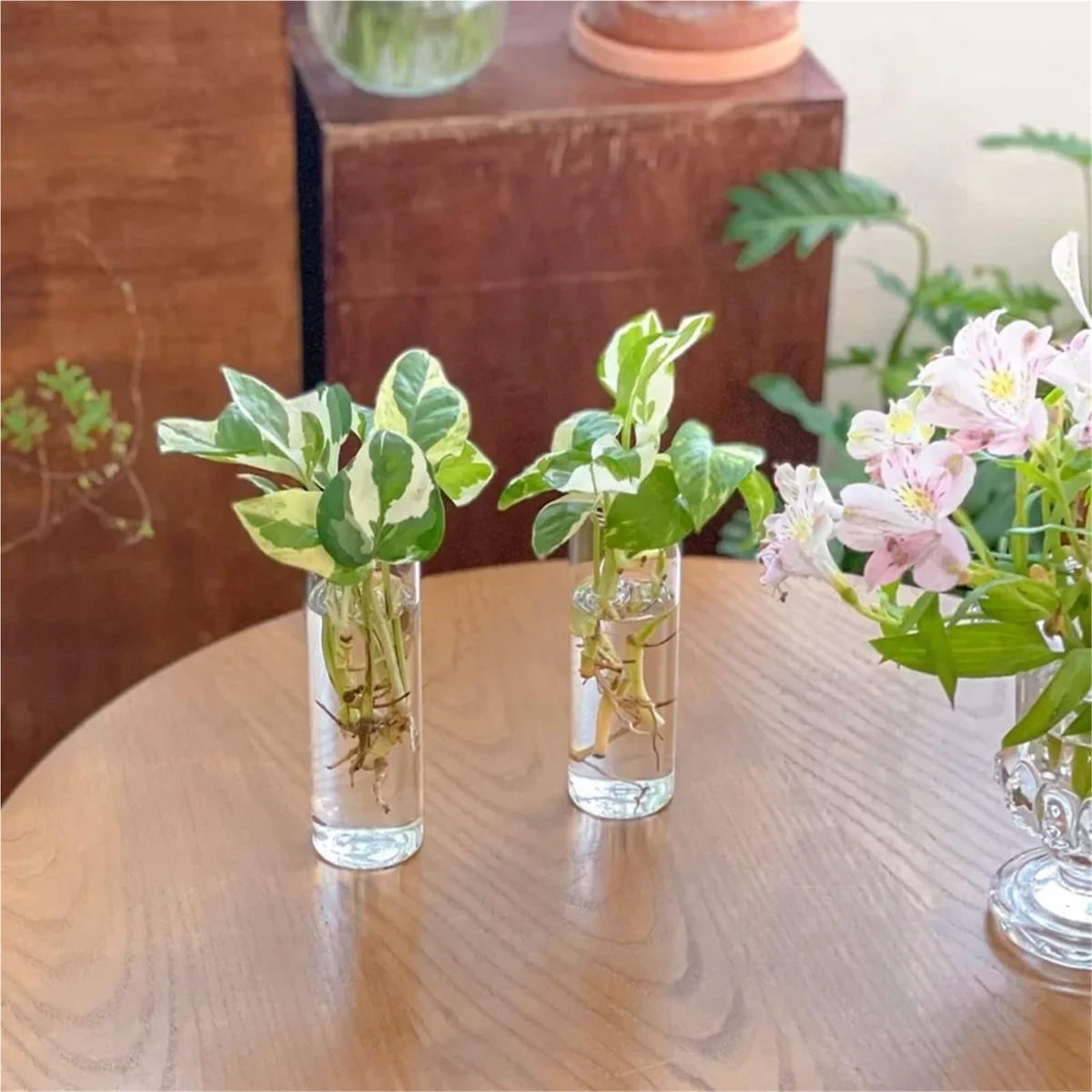 Glass Vase Vase 3Pack Wall Hanging Glass Planters Plant Terrarium Plants Holders Air with Plastic Invisible Traceless Hangers(3Pcs Small)