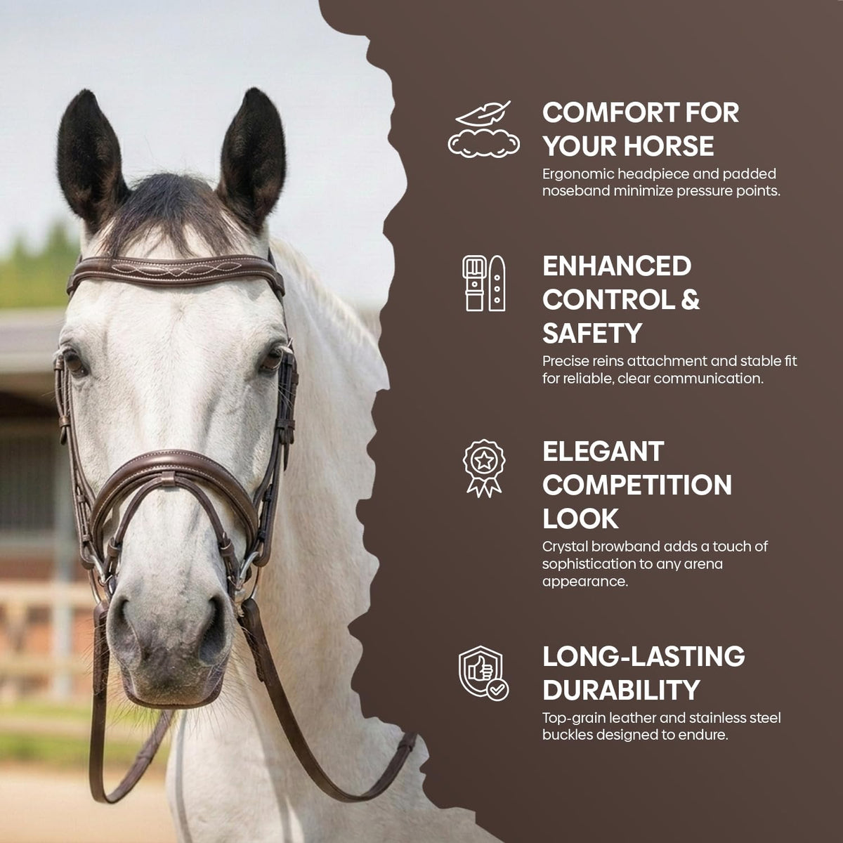 Equine Care English Horse Bridle with Reins – Fancy-Stitched, Padded Comfort Crown & Noseband, Vegetable-Tanned Leather, Stainless Steel Fittings, Full Size Hunter Jumper Tack