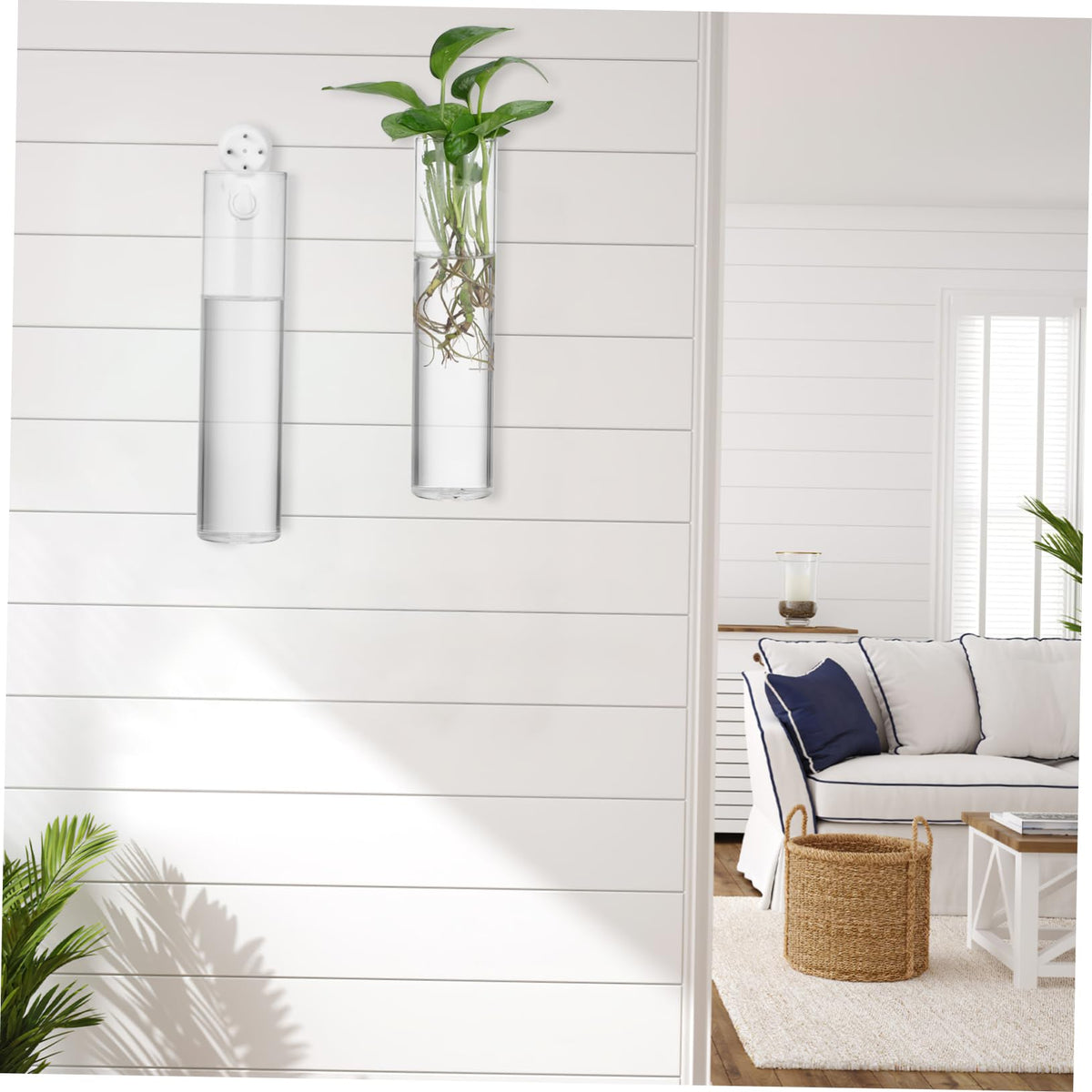 Ciieeo 2pcs Hanging Glass Planters Wall Vases Cylinder Shape for Indoor Plants Secure Mounting Terrariums Propagation Stations Home Office Decor