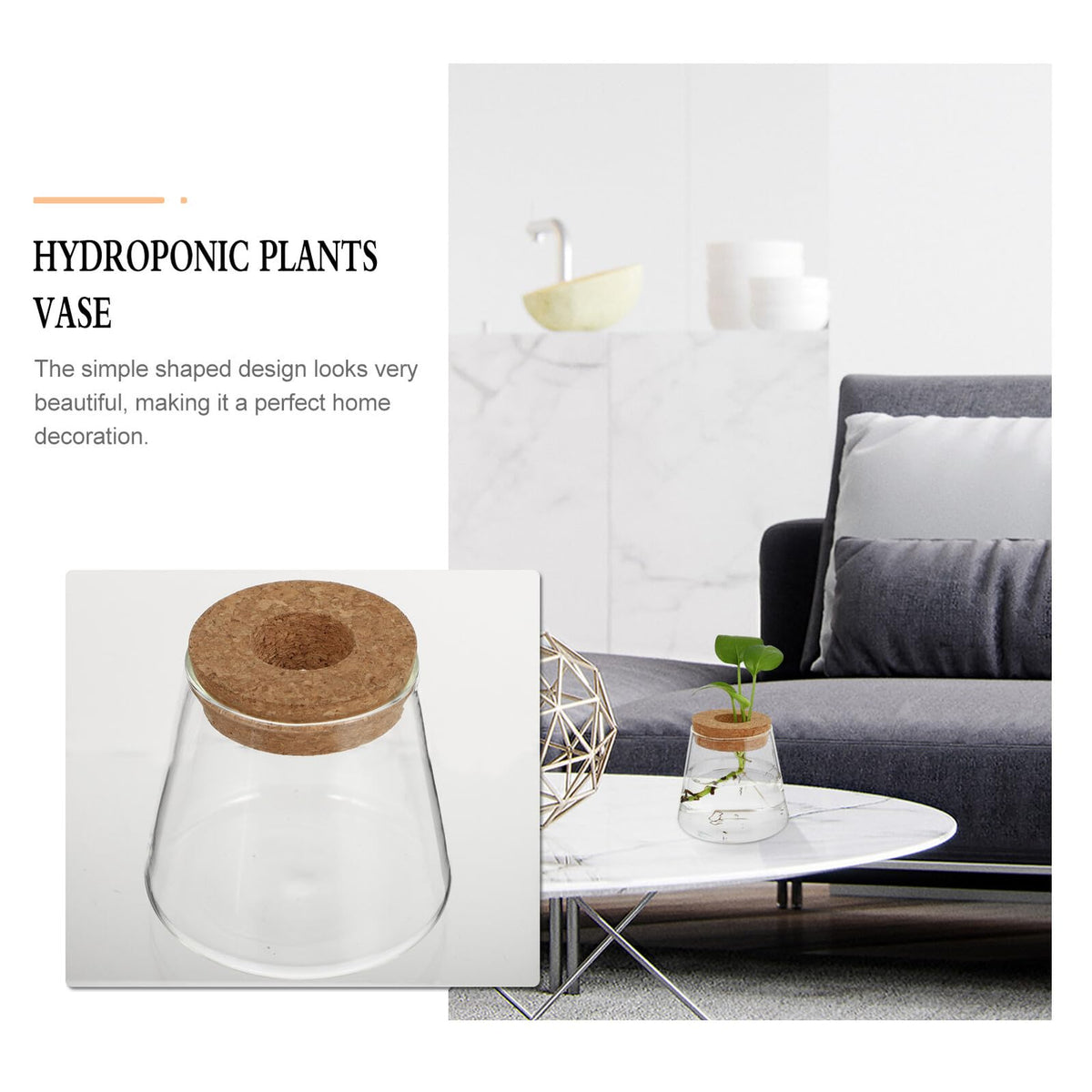 FOMIYES 2pcs Hydroponic Plants Vase Glass Terrarium Round Flower Vase 6.5cm Mouth Diameter Desktop Planter for Indoor Hydroponics Home Office Décor