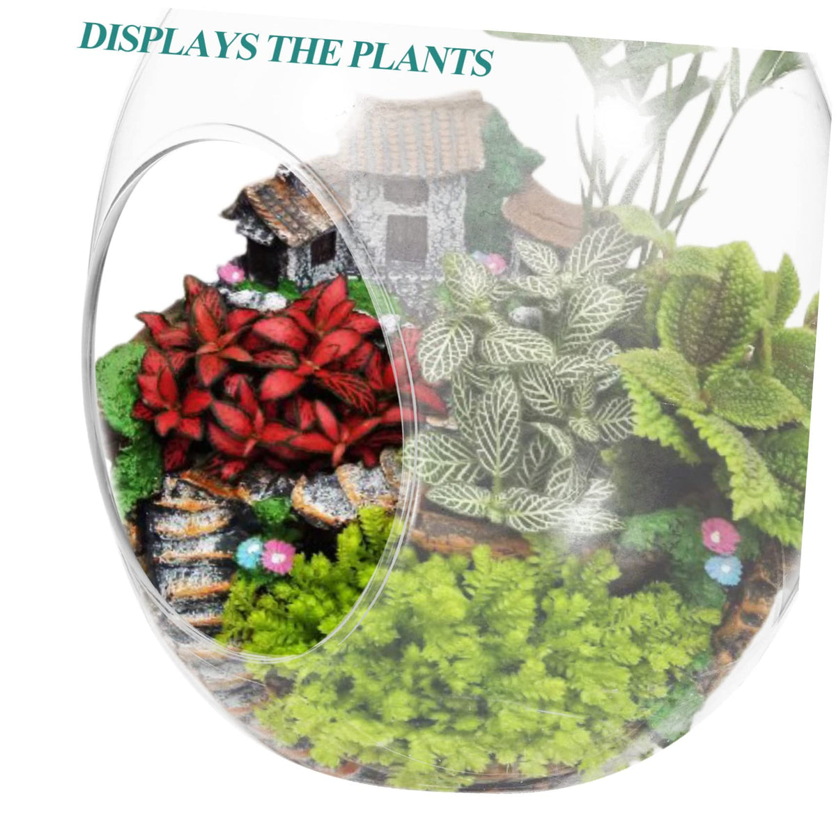 Totority Shape Moss Bottle Glass Terrarium for Plants Landscape Container Decorative and Functional Water Vase for Home and Garden