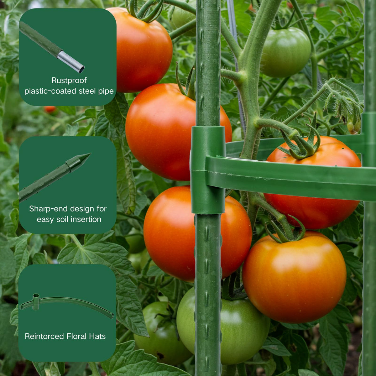 Wikdey Tomato Cages for Garden&Pots, 2 Pack 50" Plant Support Trellis for Tomatoes, Cucumbers, Beans | Heavy-Duty Steel with Rust-Proof Coating | Garden Stakes for Outdoor Indoor Plants