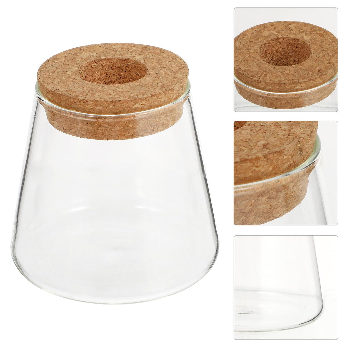 DOITOOL 2pcs Hydroponic Glass Planting Pots Small Terrarium Vase with 6.5cm Opening for Indoor Garden Decoration and Water Plant Propagation