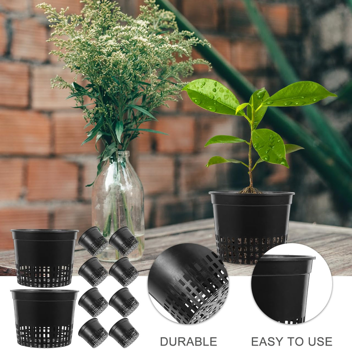 DOITOOL 5 Inch Hydroponic Mesh Basket, 10pack Hydroponic Net Pots, Slotted Mesh Net Cups, Self Watering Baskets Pots for Aquaponics Orchids Indoor Outdoor Growing Plants (Black)