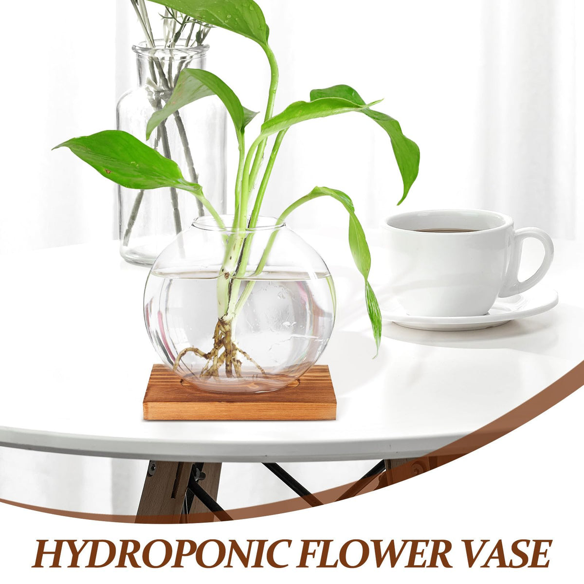 OSOLADY Glass Hydroponic Vase with Wooden Base, Plant Propagation Station for Office and Home Décor, Tabletop Glass Terrarium Hydroponics Display Ornament
