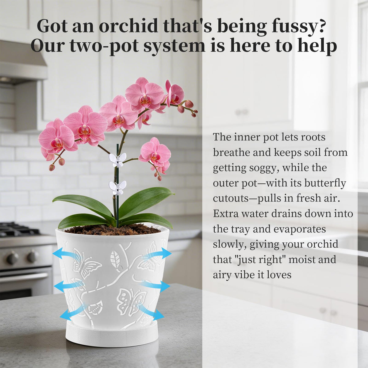 LinyAlmY 2Pack Cutouts Orchid Pots for Indoor Plants,5.75 Inch Clear Small Orchid Pots with Holes for Repotting Kit,Macetas para Orqudeas(White)