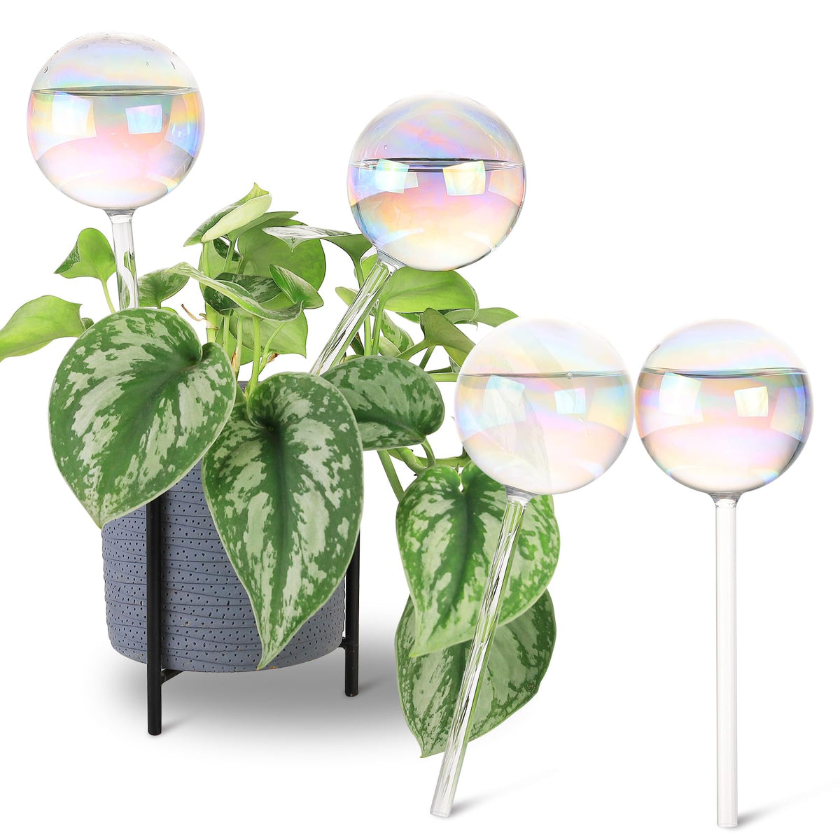 Soilagua 13 oz Extra Large Wick-Controlled Plant Watering Globes, Self Watering Globes for Everyday and Vacation Use, Iridescent Glass Water Bulbs, Automatic Plant Waterer, 4 Pack