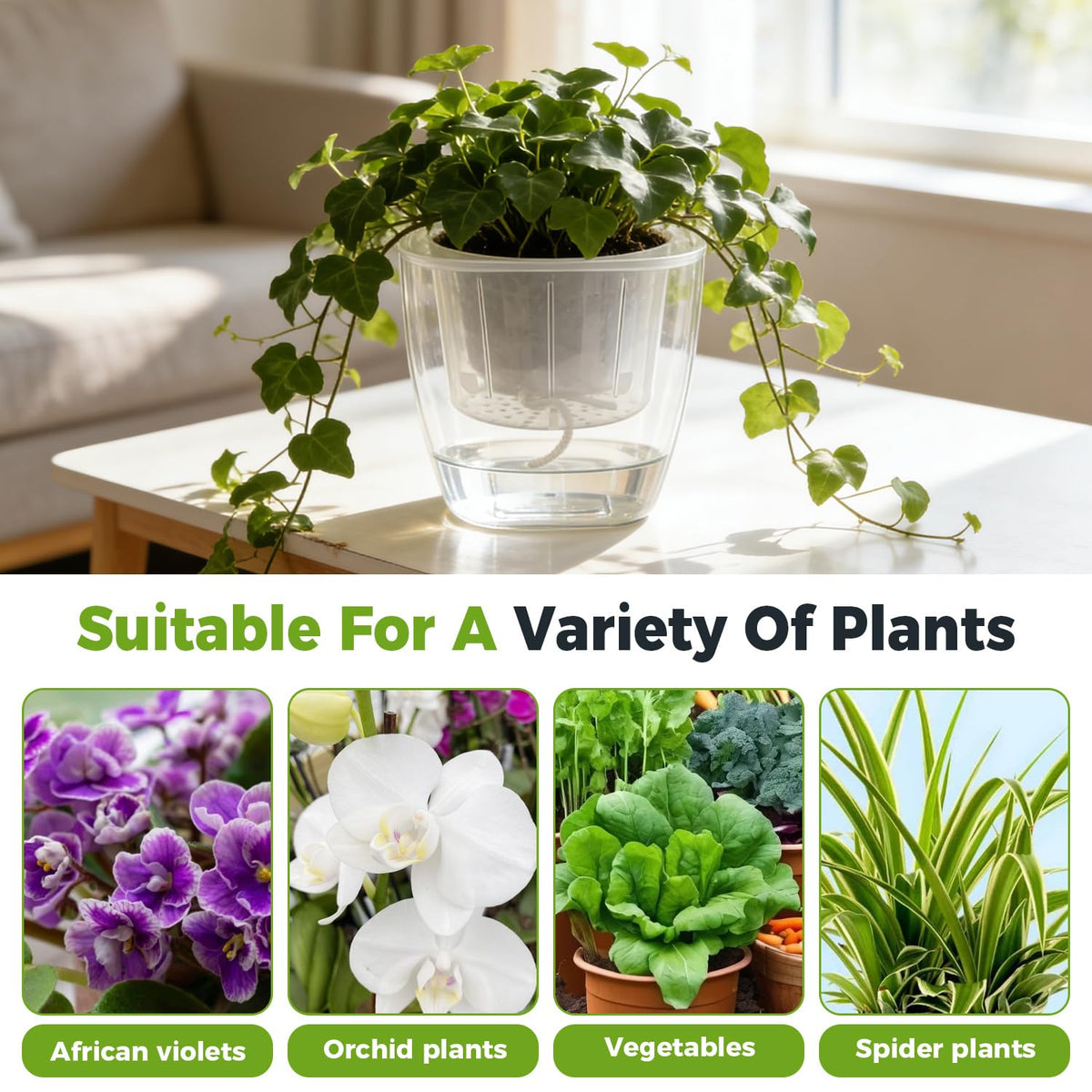 6-Pack 7 Inches Clear Self Watering Planters for Indoor Plants Large African Violet Plant Pots Plastic Wick Flower Pots with Water Injection Hole, Orchid Plant Pot Set, Clear