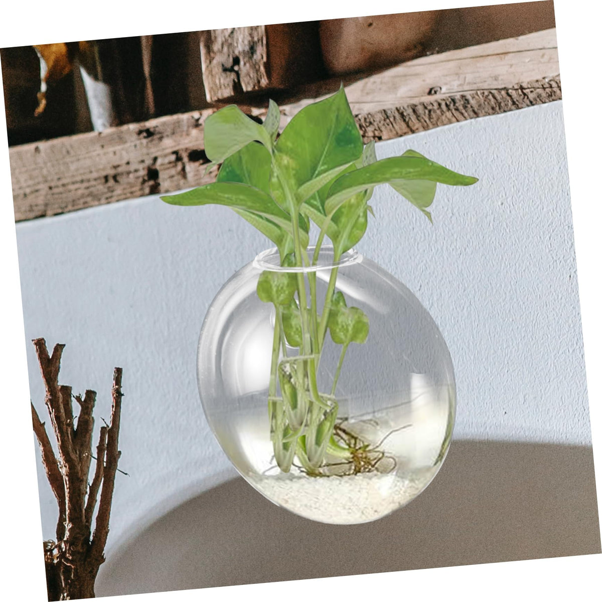 Hemobllo Wall Mounted Glass Hydroponic Vase for Plants Glass Terrarium Container Easy to Use Wall Hanging Planter for Home Office Garden Decoration