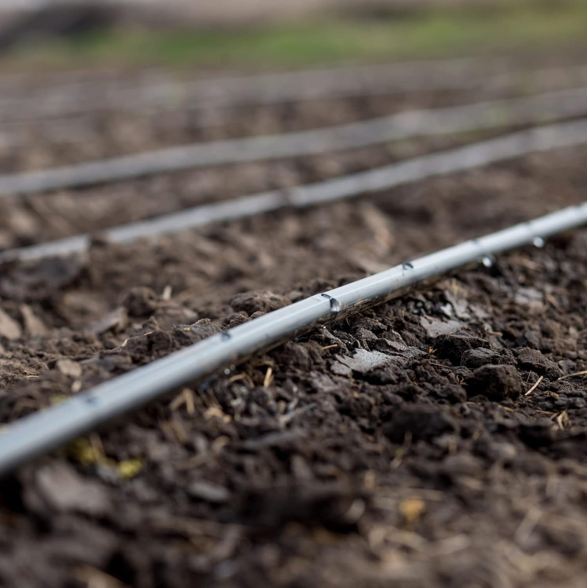 Drip Irrigation Line 1/4" Tubing Roll, 6" Emitter Spacing.52 GPH, Color Black (.170 ID x 240 OD) - Will Work from Gravity Feed (500' Foot Roll)