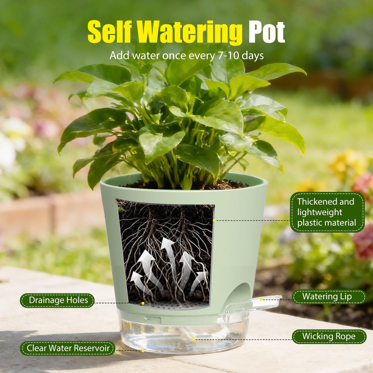 SQKH Plant Pots 6 Inch Self Watering Pots,6 Pack Plastic Planters with Drainage Holes and Clear Saucers,Plastic Flower Pots,Nursery Planting Pot for Indoor Out Door Plants (Green)
