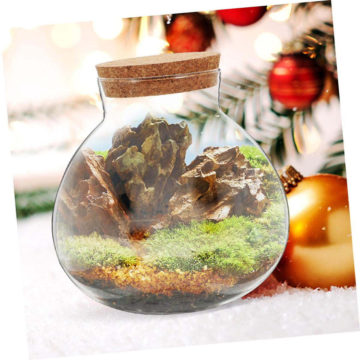 BESPORTBLE Microlandscape Ecological Bottle Cork Stopper – Round Glass Terrarium Container for Moss Plants – Decorative Planter for Home Office and Garden