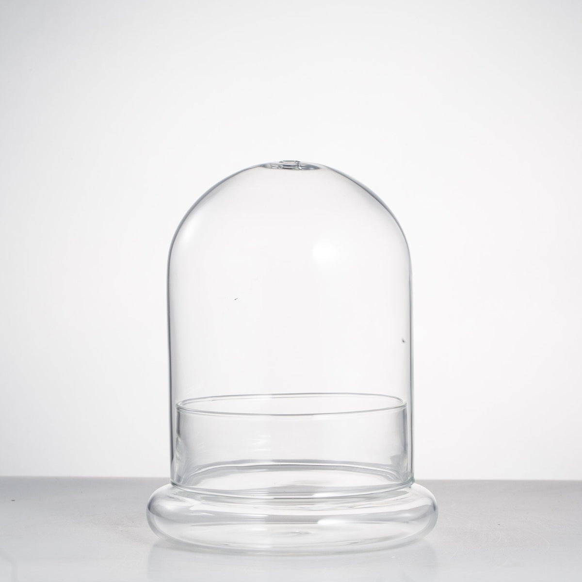 NCYP Small Clear Decorative Glass Terrarium Cloche with Air Hole - 4.7 x 4.7 x 6.3 Inches Glass Dome with Base for Miniature Plants - Display Storage (No Plants Included)