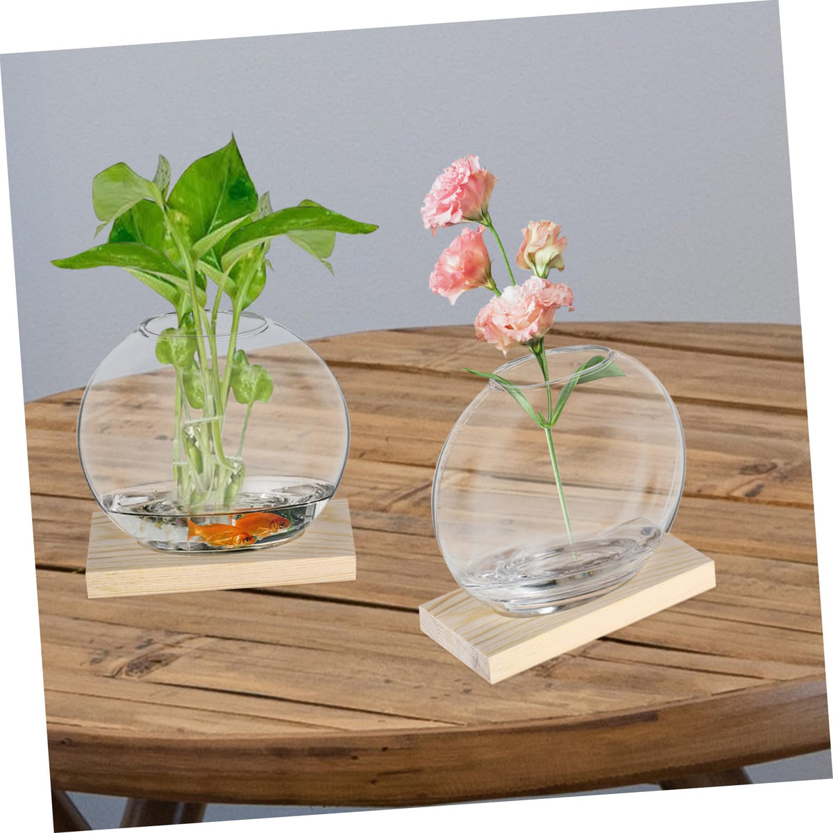 balacoo 2sets Hydroponics Glass Vase Small Propagation Terrariums with Eucalyptus Base for Indoor Plant Display Home Decor and Flower Propagation for Greenery and Floral Arrangements