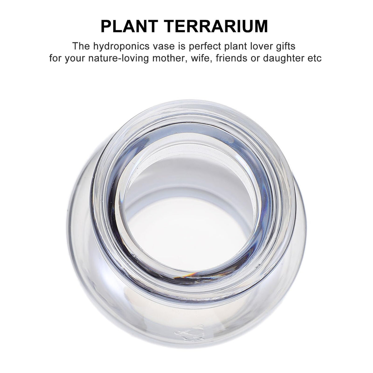KALLORY Hydroponic Glass Desktop Vase for Plants Smooth Glass Planter Suitable for Office Home Table Decoration Modern Minimalist Terrarium in Ocean Blue