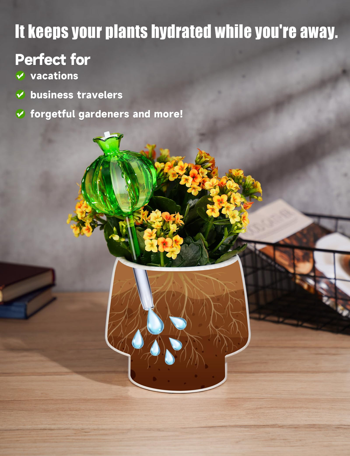 NiHome (2 Small + 2 Large) Plant Watering Globes 4-Pack, Glass Waterer for Potted Plants, Green Glass Cactus Self Watering Globe, Automatic Mini Irrigation System