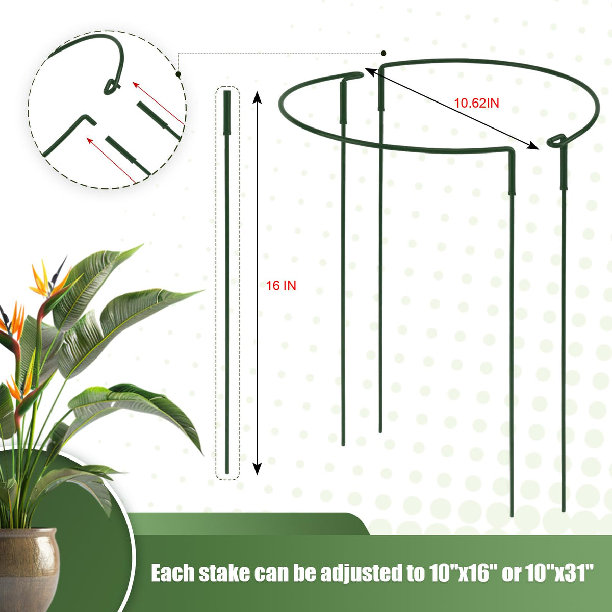 Detachable Plant Support Stakes 6 Pack, Half Round Garden Stake, Plant Stakes Cage Metal Ring Border for Indoor & Outdoor Plants, Peony, Tomato, Hydrangea(10" W x 16"-31" H)