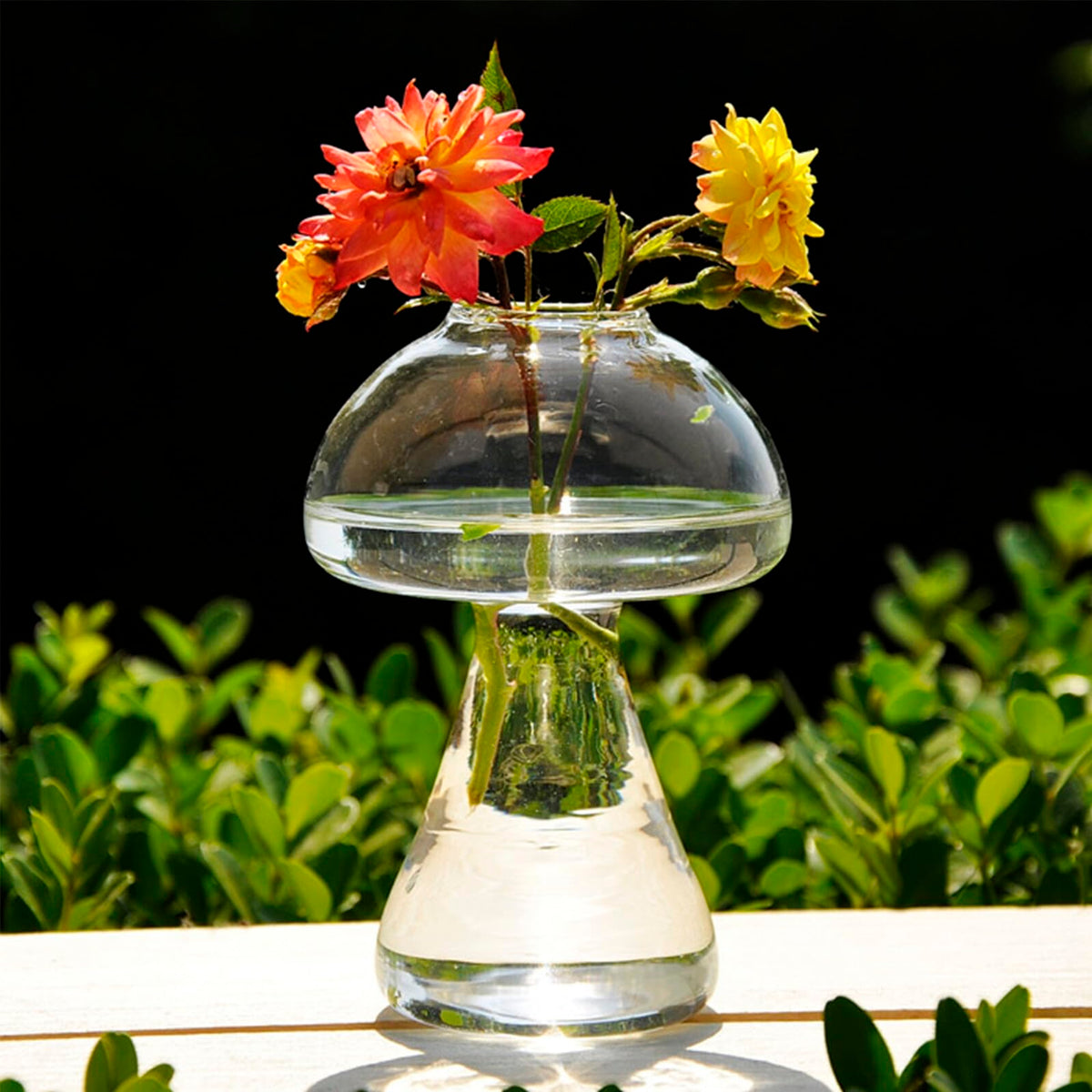UPKOCH Mushroom Glass Vase Small 12x8cm Hydroponic Plant Terrarium Vase Decorative Glassware for Home and Office Desktop Flower Planter