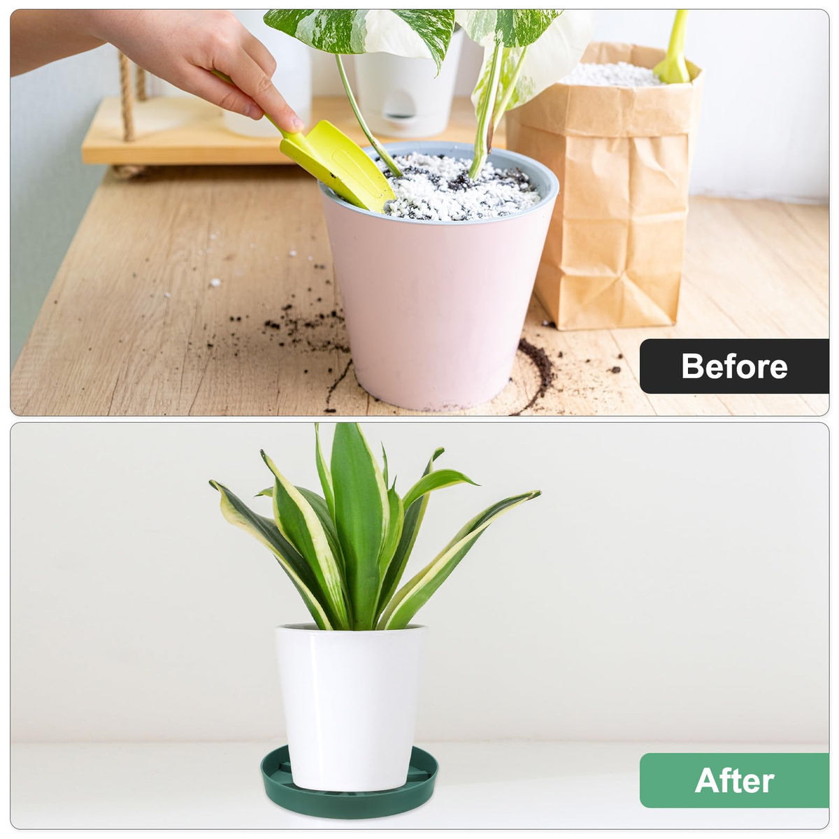M METERXITY 2-Pack Plant Saucer, 9 Inch Flower Pot Saucers, Thicker Anti-Rot Root Plastic Plant Saucer for Indoor/Outdoor Potted Plant/Plant Water Catcher Tray [Green]