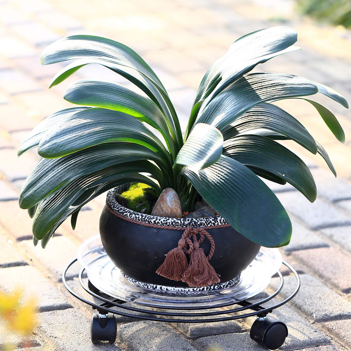 5 Packs Metal Plant Caddy 11.8" Plant Dolly with Wheels Heavy-duty Wrought Iron Rolling Plant Stand with Casters Indoor and Outdoor Plant Pot Movers Planter Rollers Coaster, Brown