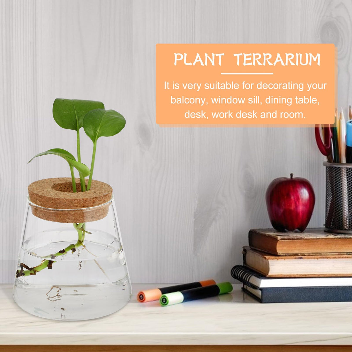 DOITOOL 2pcs Hydroponic Glass Planting Pots Small Terrarium Vase with 6.5cm Opening for Indoor Garden Decoration and Water Plant Propagation