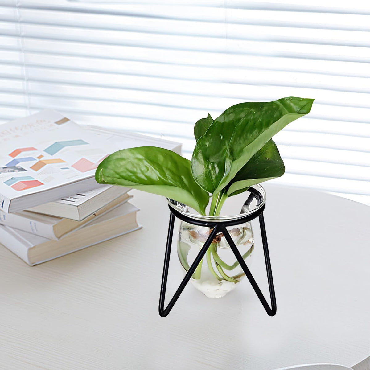 Ipetboom 6pcs Black Iron Art Hydroponic Glass Vases Small Terrarium Plant Holders for Home Decoration Desktop Water Containers