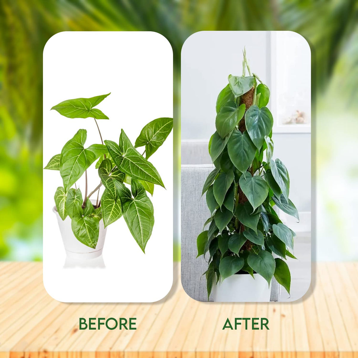 [4 Pack] 49 Inches Moss Pole- Moss Pole for Plants Monstera- Moss Poles for Climbing Plants- 2 Pcs 17” and 2 Pcs 15” Plant Stakes for Indoor Plants.