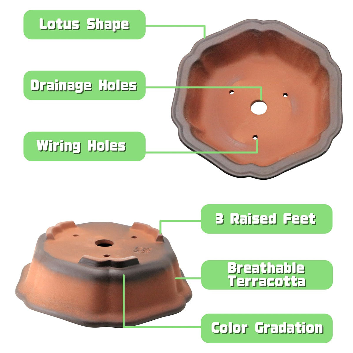 MUZHI 7.5” Unglazed Flower Shape Clay Bonsai Pot with Ceramic Saucer, Color Gradational Shallow Terracotta Planter for Tree Cactus Succulent Arrangement