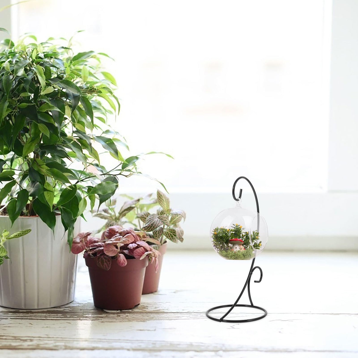 FOMIYES 2pcs Black Iron Hanging Plant Bracket Half-circle Hook Ornament Display Stand Hanging Terrarium Holder for Indoor Air Plants and Miniature Glass Bottles