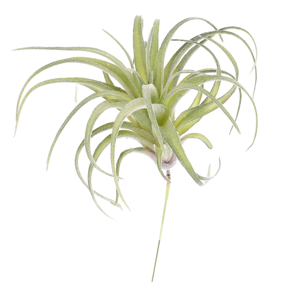 DECHOUS 1pc Artificial Air Plants Artificial Terrarium Plants Large Air Faux Flocked Tillandsia Photo Props Plant Glass Container Hanging Decor Pineapple Household