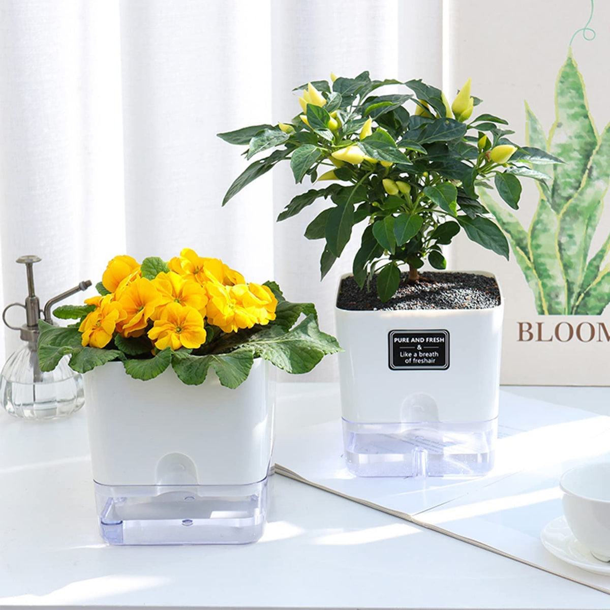 FAMZ Self Watering Planters 4 Pack，Self Watering Pots for Indoor Plants，Automatic Moisturizing，Transparent Square Flower Pot for Indoor and Outdoor Plants，Succulents，Violets，Ivy