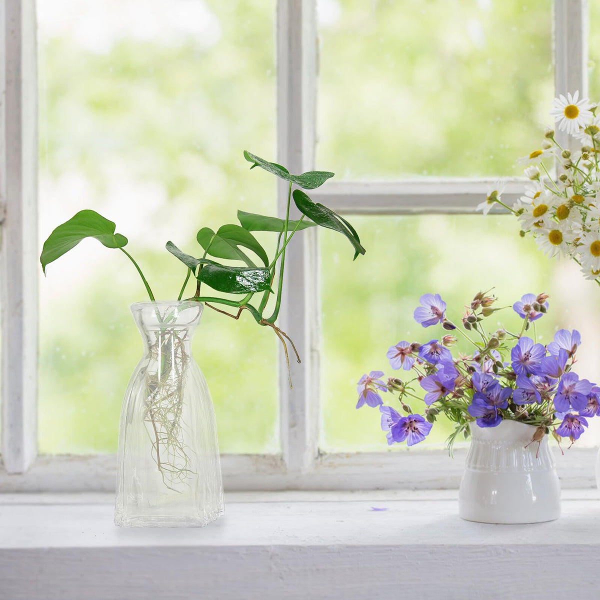 Sewroro 4pcs Decorative Glass Vases Small Terrarium Flower Vases for Hydroponic Plants Desk Home Décor Minimalist Glass Flower Containers