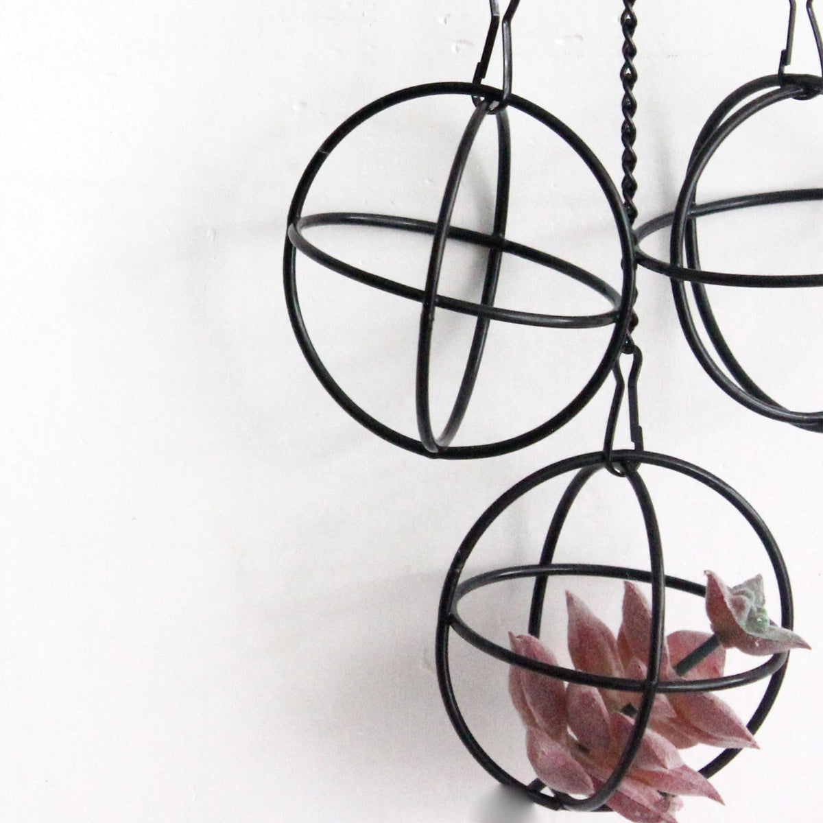 libproqia 6 Set Air Plants Hanging Holders Black Metal Himmeli Decor Modern Geometric Airplants Planter Air Fern Plants Hanger for for Home for Plant Lovers