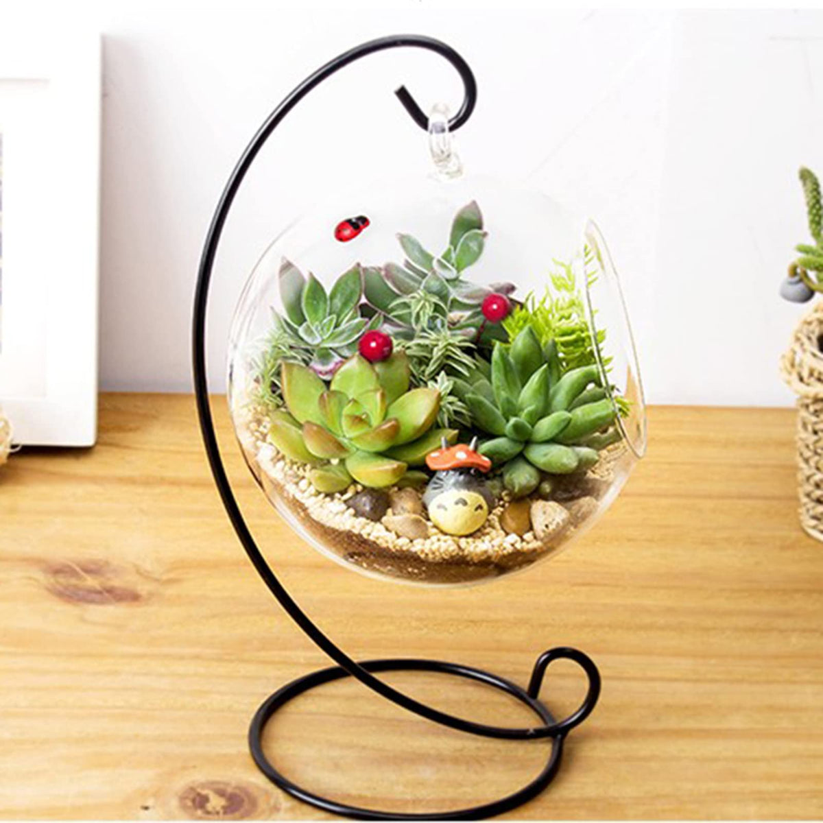 Mtlavishness Hanging Glass Vase Large Terrarium with Frame for Air Plants Succulent