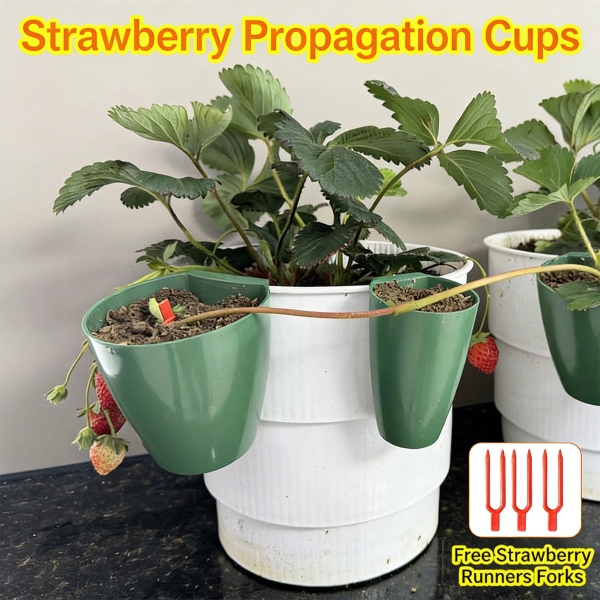 Kangnice Propagation Cup Set Featuring Food Grade and Runner Forks Ideal for Strawberry Runners and Seedling Cultivation Strawberry Fixing Fork
